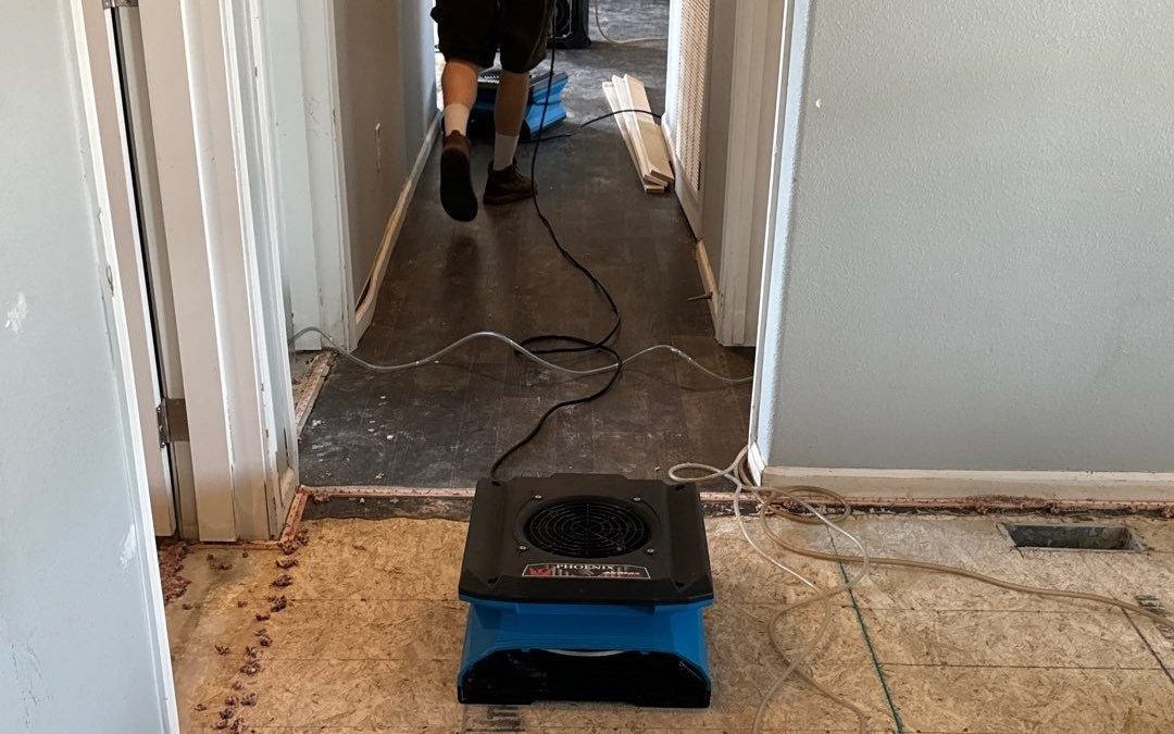 Swift Water Damage Restoration with Avondale Water Damage Services