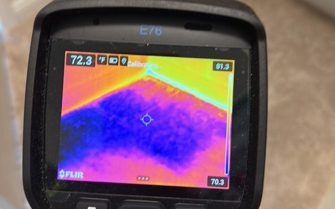 How Thermal Imaging Improves Water Damage Restoration at Avondale Water Damage Services