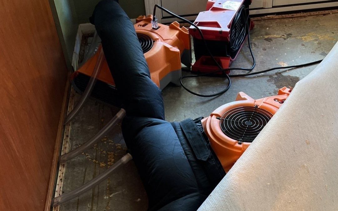 Avondale Water Damage Services: Fast, Reliable Dry-Out After Water Intrusion
