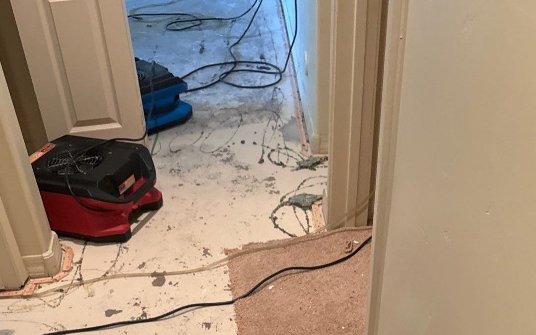 Expert Dry-Out Services After Water Damage in Avondale, AZ