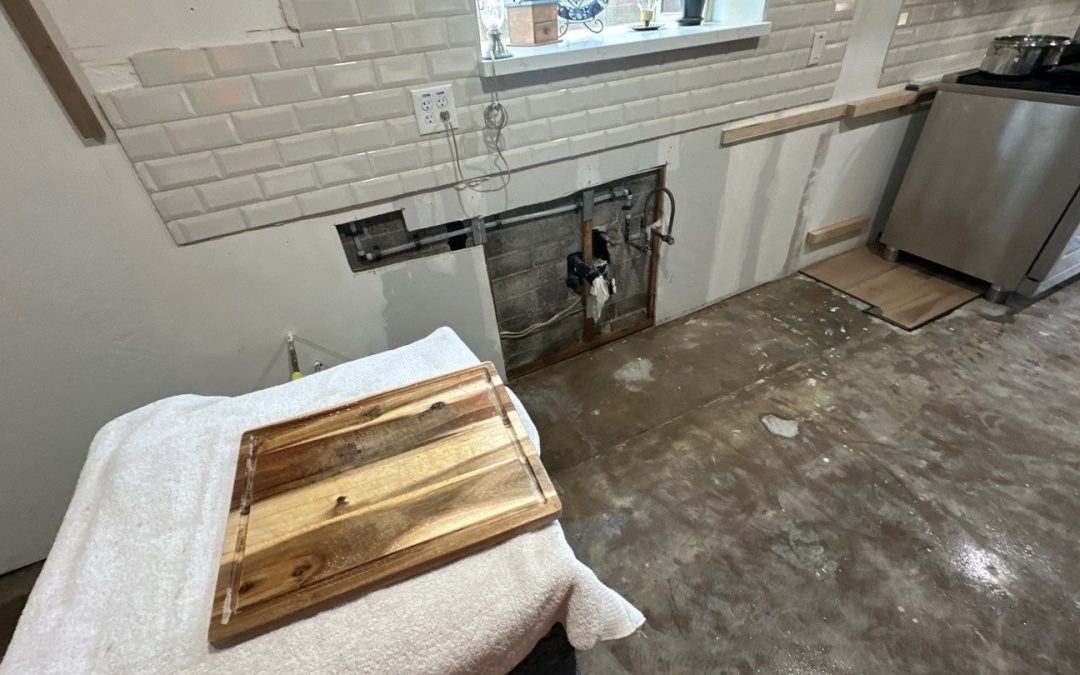 Professional Water Damage Dry-Out Services in Avondale, AZ