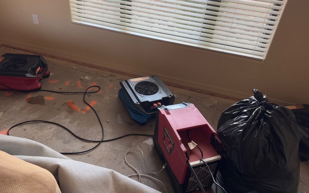Avondale Water Damage Services Uses Top-of-the-Line Equipment for Water Intrusion