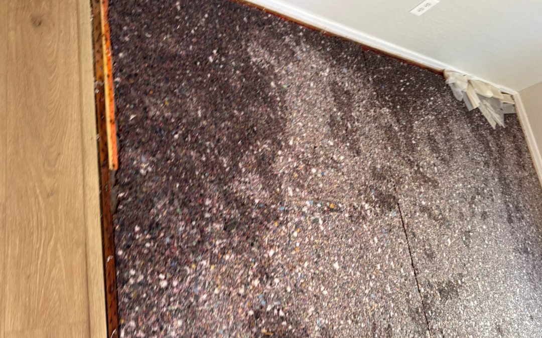 How Water Affects Carpet, Tack Strip, and Carpet Pad After Water Damage in Avondale, AZ